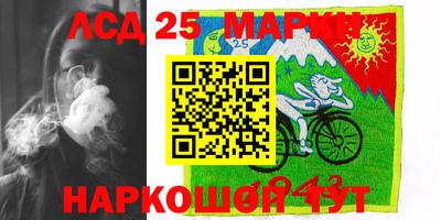 ПСИЛОЦИБИНОВЫЕ ГРИБЫ Новозыбков
