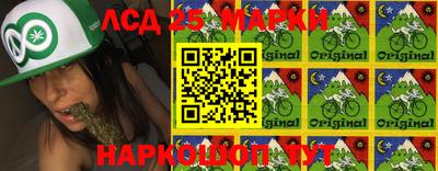 ПСИЛОЦИБИНОВЫЕ ГРИБЫ Новозыбков