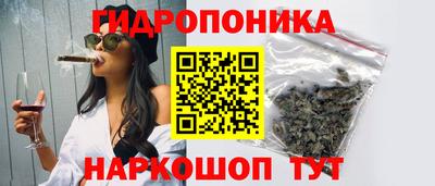 ПСИЛОЦИБИНОВЫЕ ГРИБЫ Новозыбков