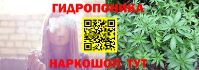 СК Новокубанск