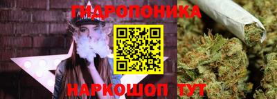 СК Новокубанск
