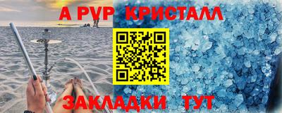 ПСИЛОЦИБИНОВЫЕ ГРИБЫ Новозыбков