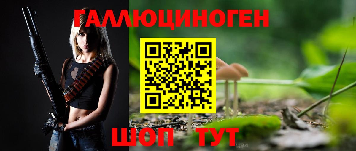 Новотроицк  Псилоцибиновые грибы мухоморы  Вход с VPN 