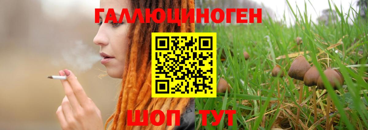 Галлюциногенные грибы GOLDEN TEACHER Новотроицк